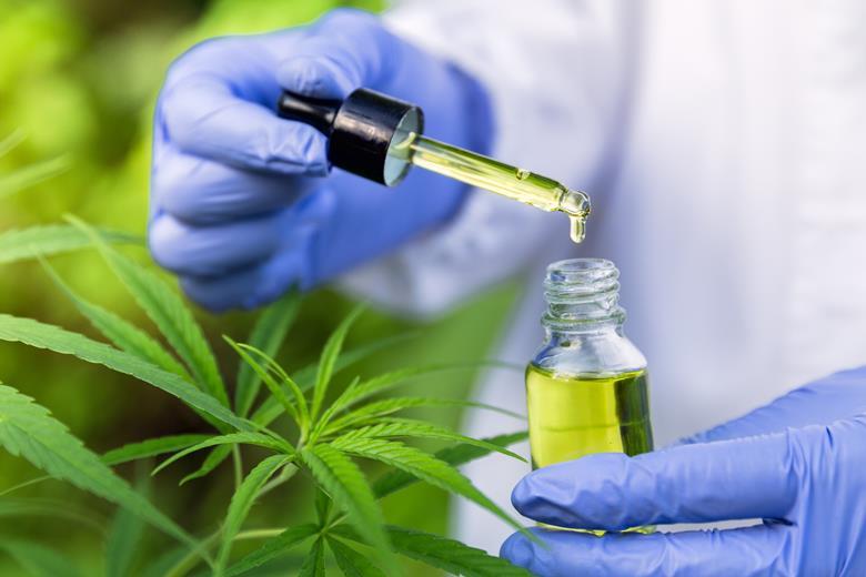 Plans for CBD certification scheme launched ahead of FSA regulations