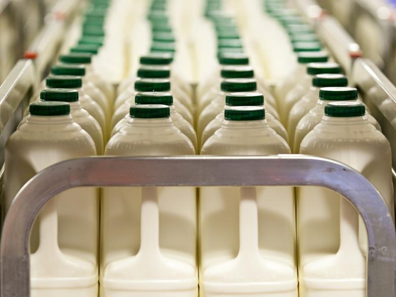 Lidl and Aldi increase price of four pints of milk to 99p News The Grocer