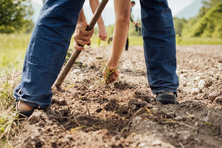 Government announces first additional SAWS operator News The Grocer