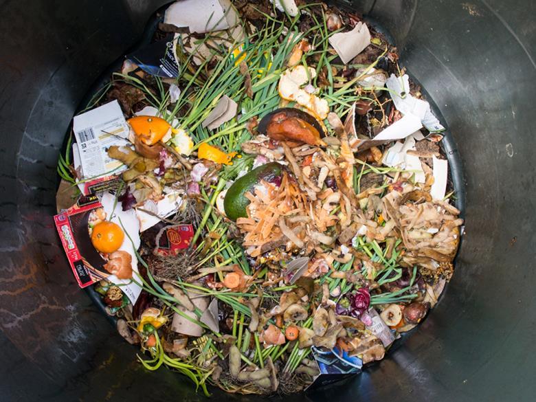 Tesco suppliers' waste figures are a triumph for transparency Comment