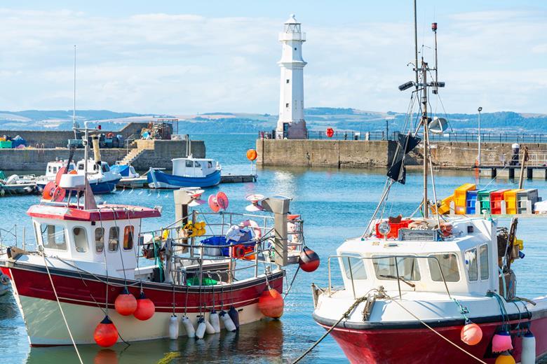 Number of British fishing boats going to sea drops 16% | The Grocer