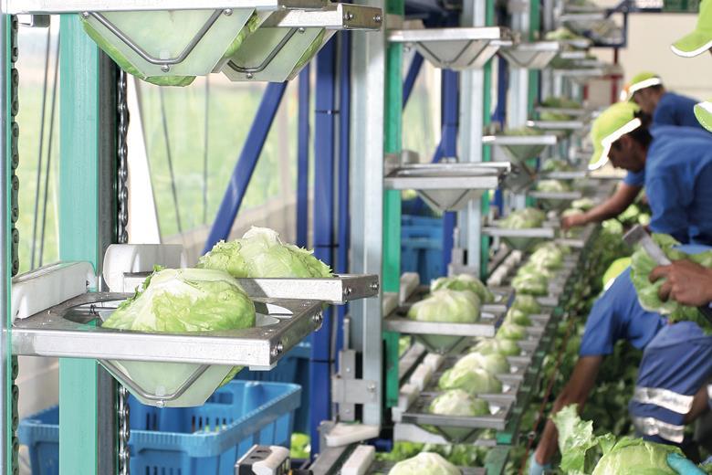 How Tesco works with suppliers Promotional Features The Grocer