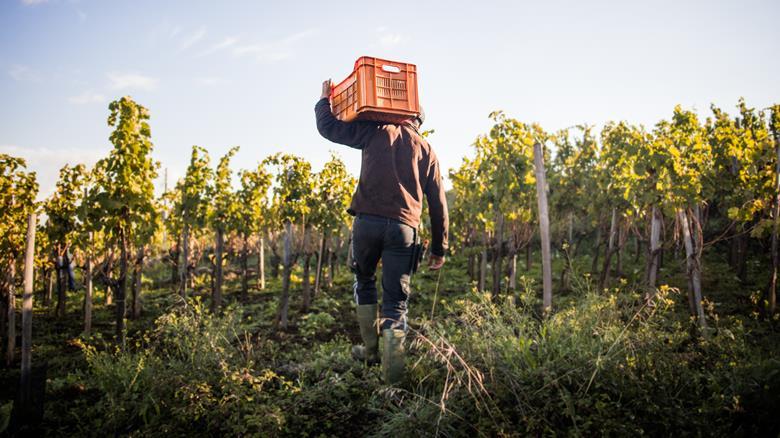 What are the 10 biggest threats to UK food security | The Grocer