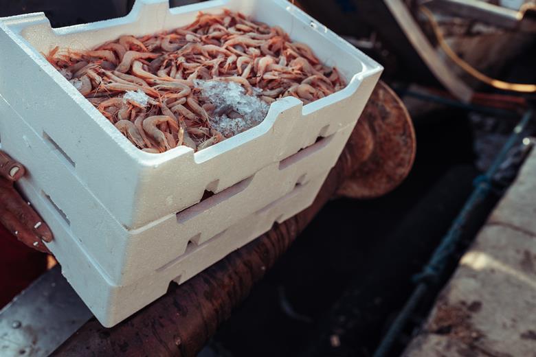 ‘Humane’ prawn stunning and tailing machine secures funding | The Grocer