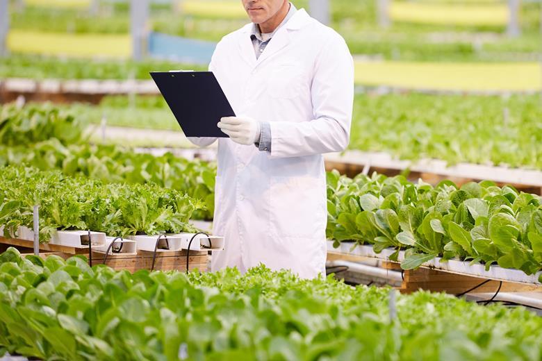 Why we must take a balanced approach to precision breeding Comment