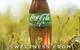 Coca-Cola Life index