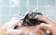shower shampoo haircare