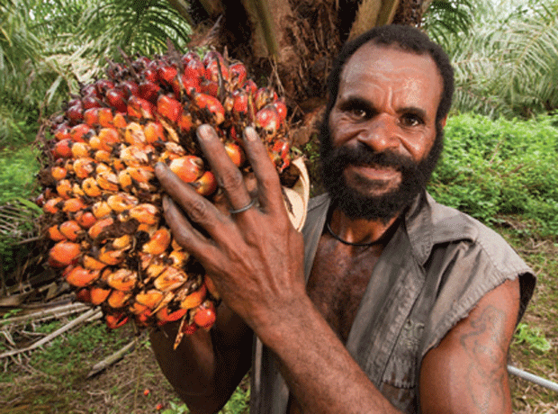 palm oil farmer