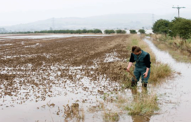 Wet weather farming