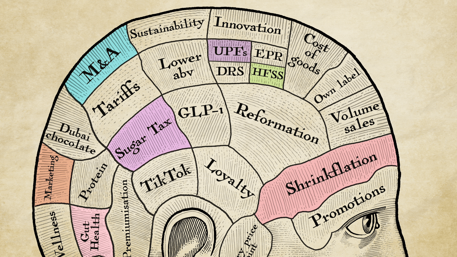 TP_Feature main image