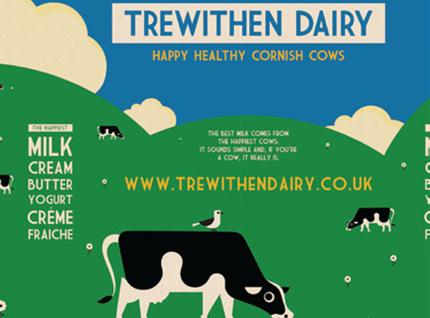 Trewithen Dairy happy healthy cornish cows
