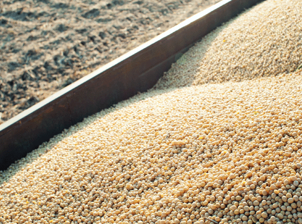 US drought sparks new fears for soya prices