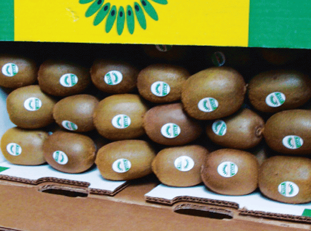 Kiwifruit in box