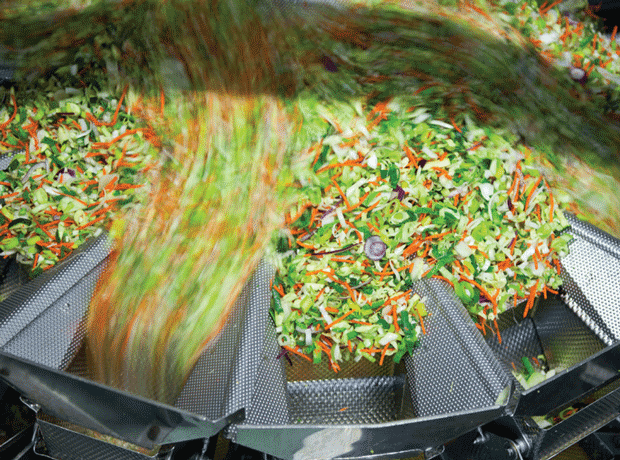 Salad food processor