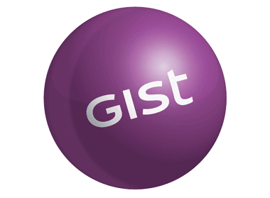 Gist Limited logo