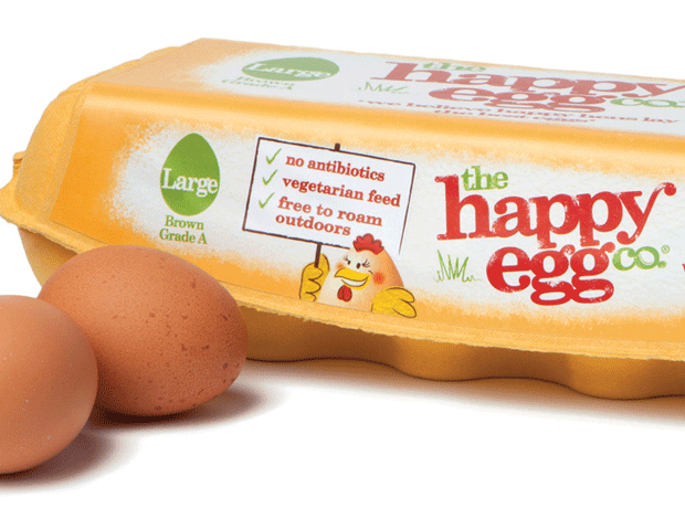The happy egg company