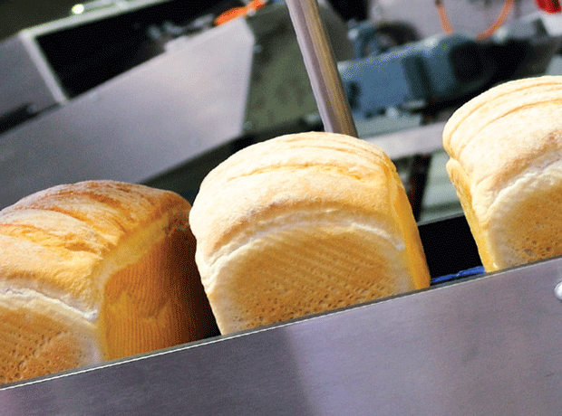 Bread production belt