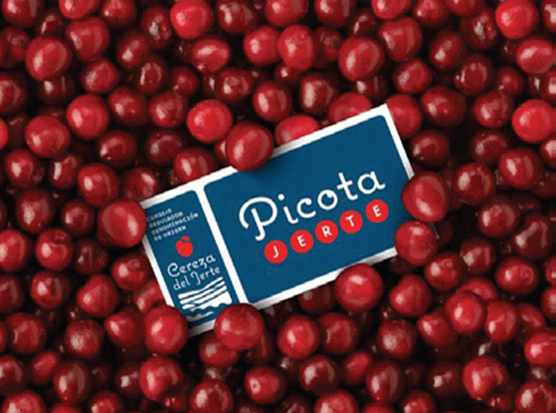 Picota Cherries