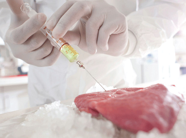 DNA testing on meat