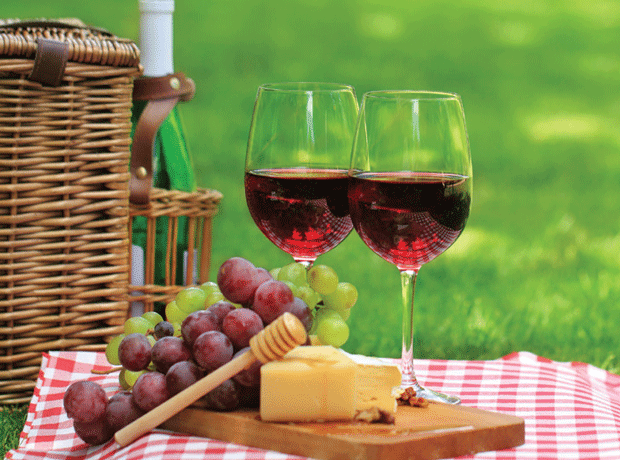 Wine and picnic