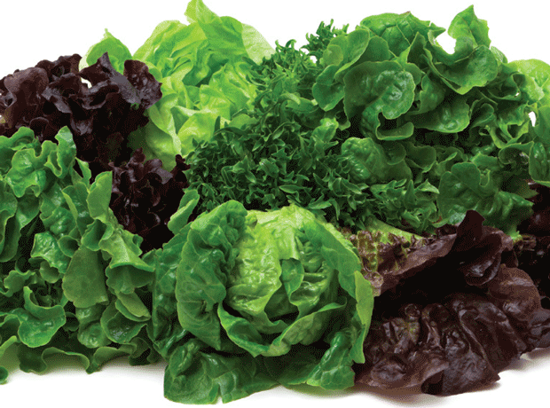 Leafy salad