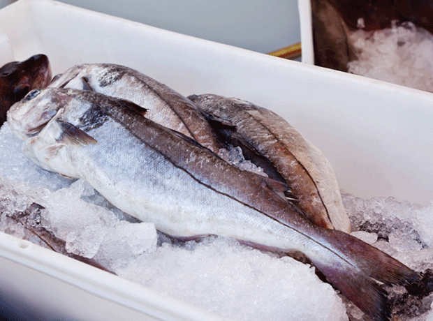 Label clarity urged on previously frozen fish