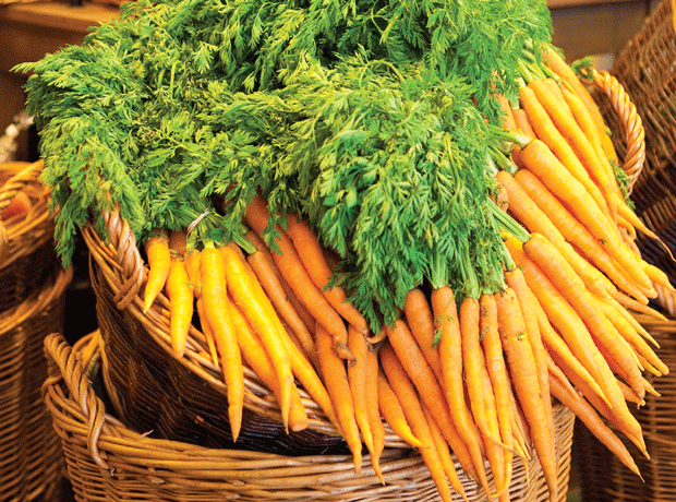 Carrots in basket