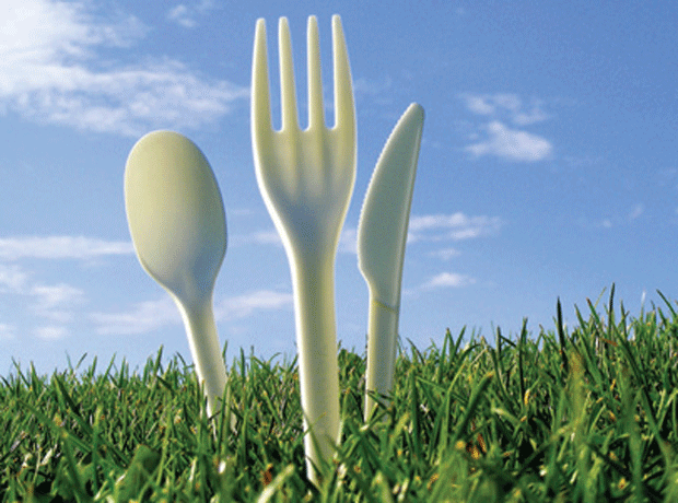 plastic free decomposable cutlery