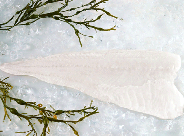 Norwegian cod