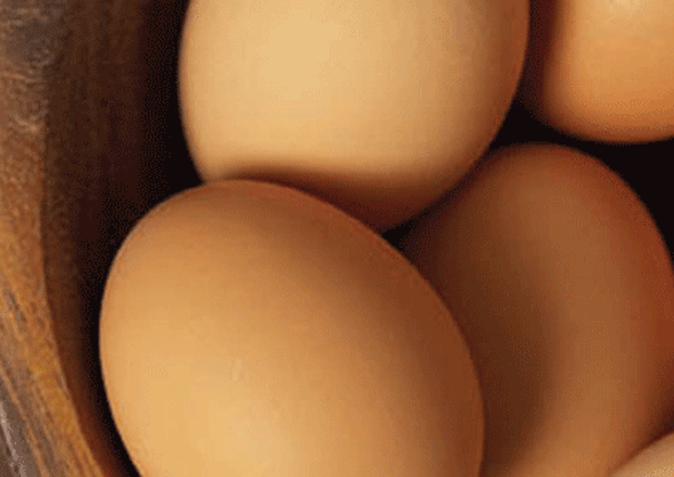 Dioxin problem still blights German eggs
