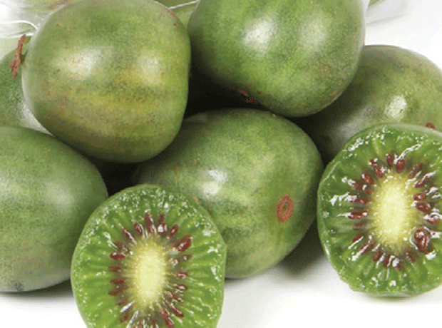 Kiwiberries