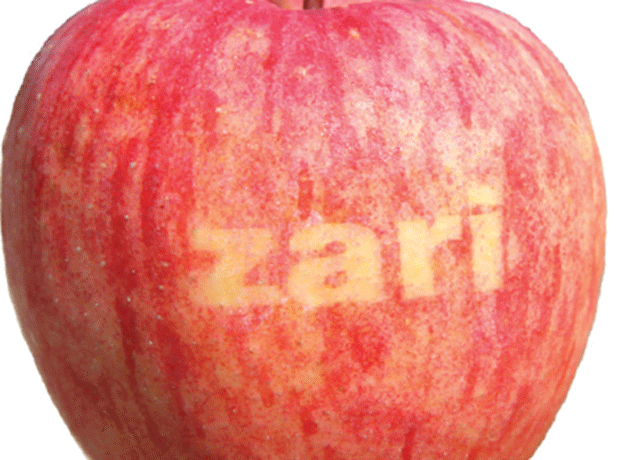Zari apple
