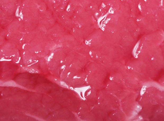 Pink slime