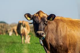 HSBC UK boosts support for sustainable farming